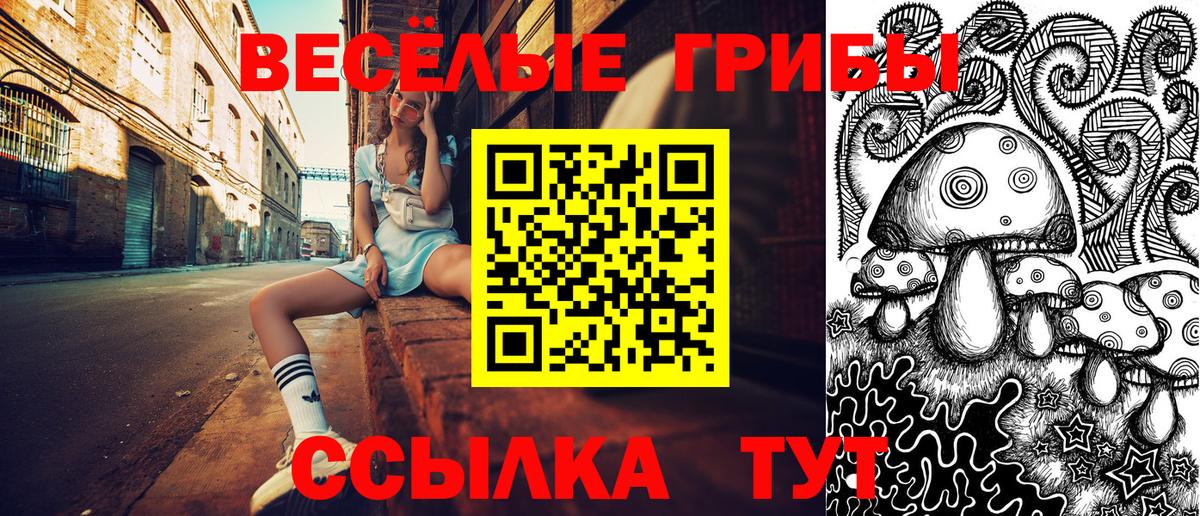 Щёкино  Псилоцибиновые грибы MAGIC MUSHROOMS  Вход с VPN 