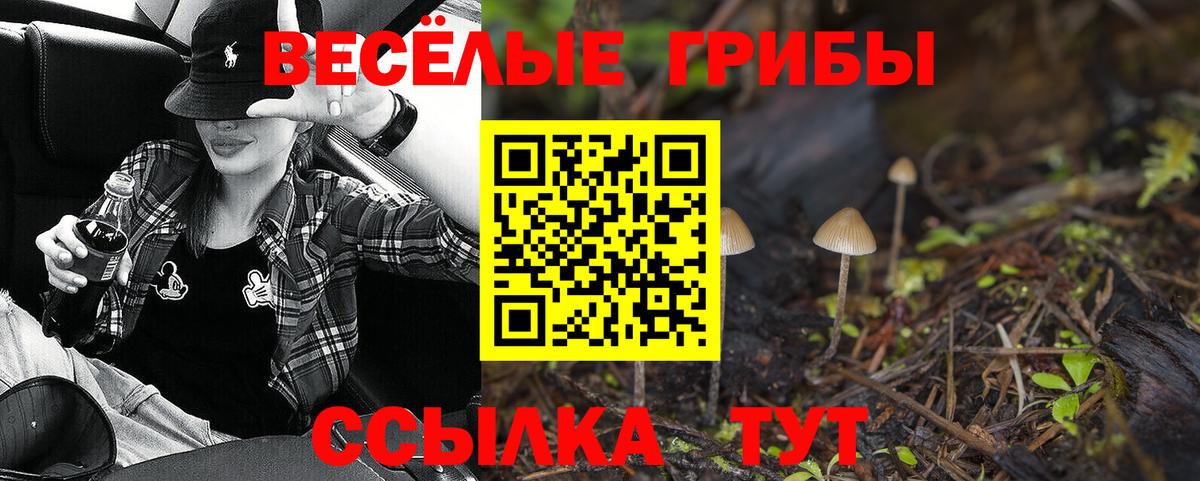 Галлюциногенные грибы прущие грибы Щёкино